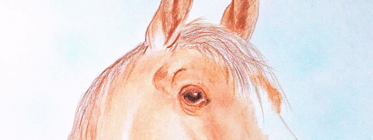 carousel 05